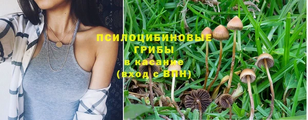 прущая мука Инта