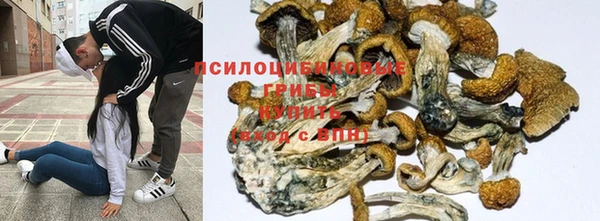 таблы Иннополис