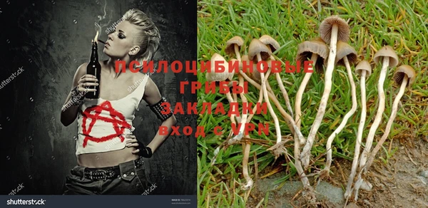 прущая мука Инта