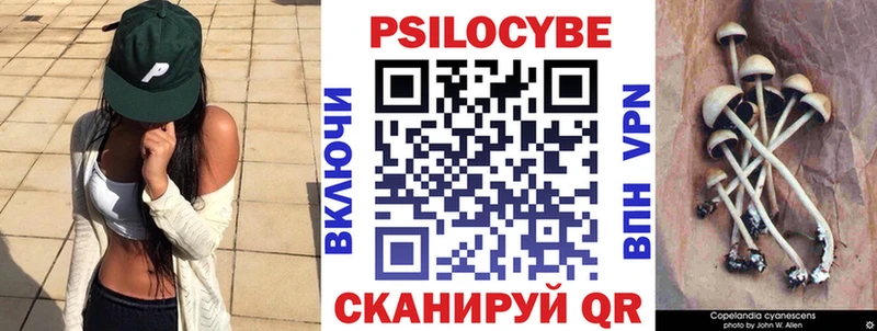 Псилоцибиновые грибы Magic Shrooms  Купить где  Навашино 
